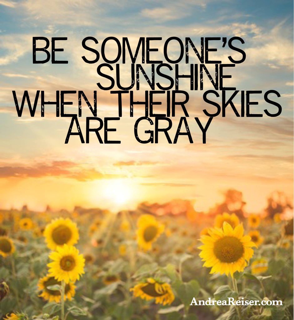 #Momentum4Michael tweet media