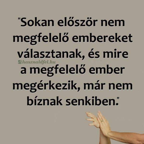 LTiringer tweet picture