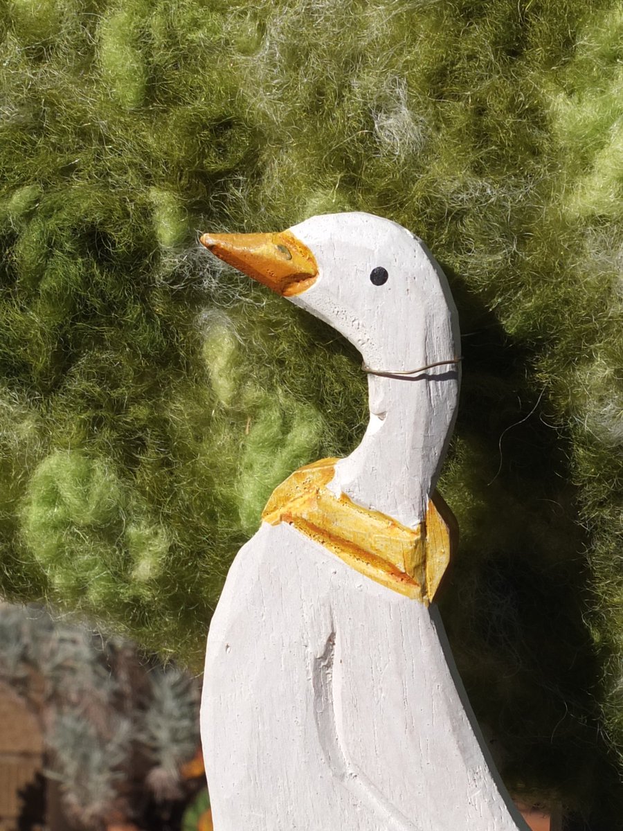 GartenMonika's tweet photo. Endlich #Frühlingswetter! Die #Laufenten haben mit dem #Eier legen begonnen ... im @Gartenladen gibt es wieder frische #Hühner- und #Enteneier. #Hortus natura et cultura https://t.co/bHijVQzzvD