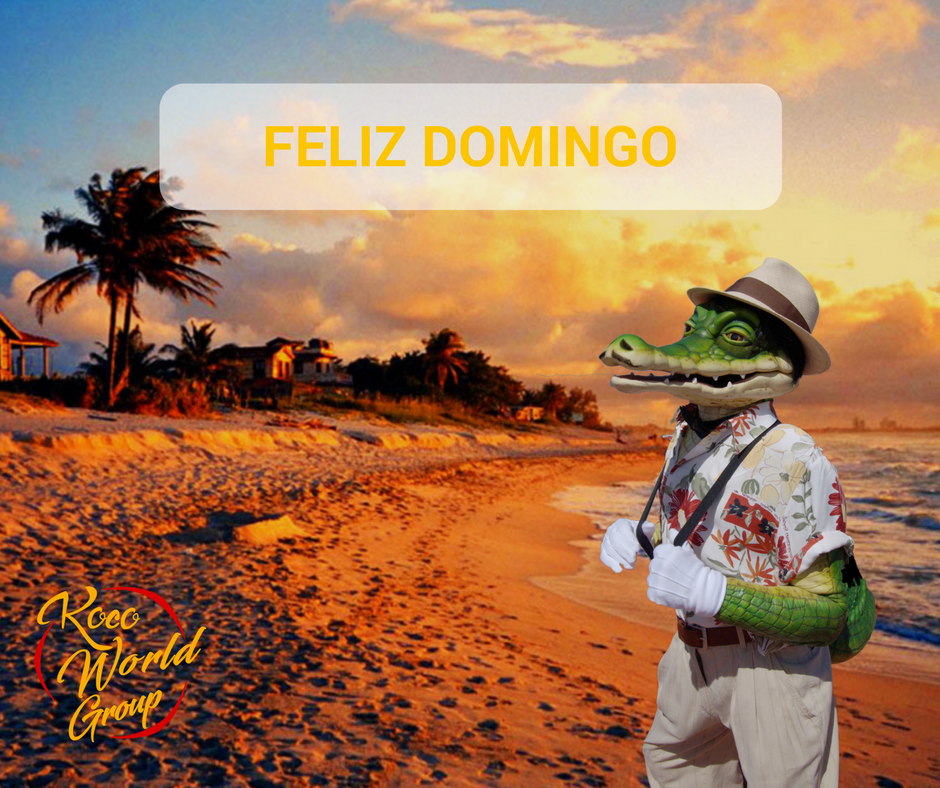 KocoOfficial's tweet photo. Feliz Domingo Familia ! https://t.co/S4yPU6ofzT
