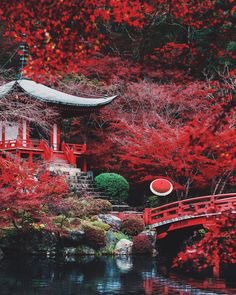 aegrtw's tweet photo. #kyoto #redbridge 📷@pankratova #red #japan #Sunday #morning #vibes #relaxing #beautiful #garden https://t.co/Vf0G04uMjf