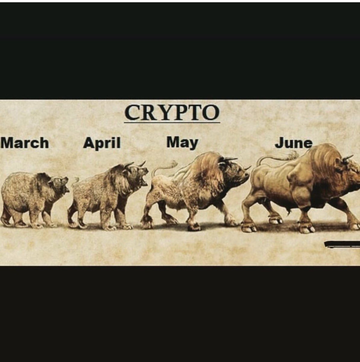 Who is ready for this #crypto bull run to start? #Altcoins #Bitcoin  #ToTheMoon