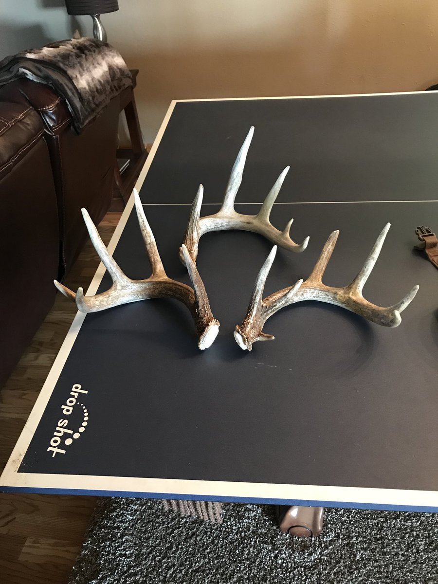 DnaHunting tweet picture