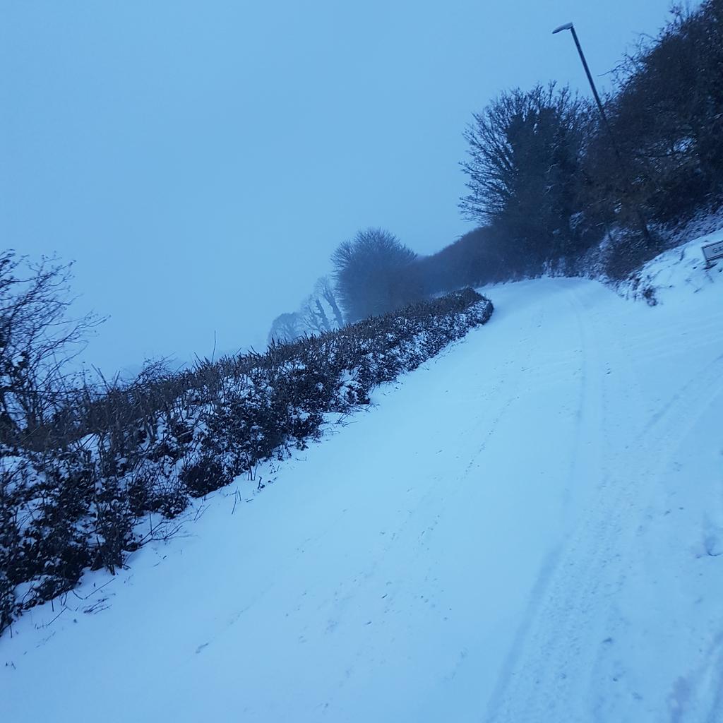 Robyn_hickman17's tweet photo. Loved being stuck at home for the last couple of days! Lots of reading on dialogic teaching, collaborative learning and philosophy for children. #traineeteacher #snowday #stuckathome https://t.co/lkVTt4ZKb9
