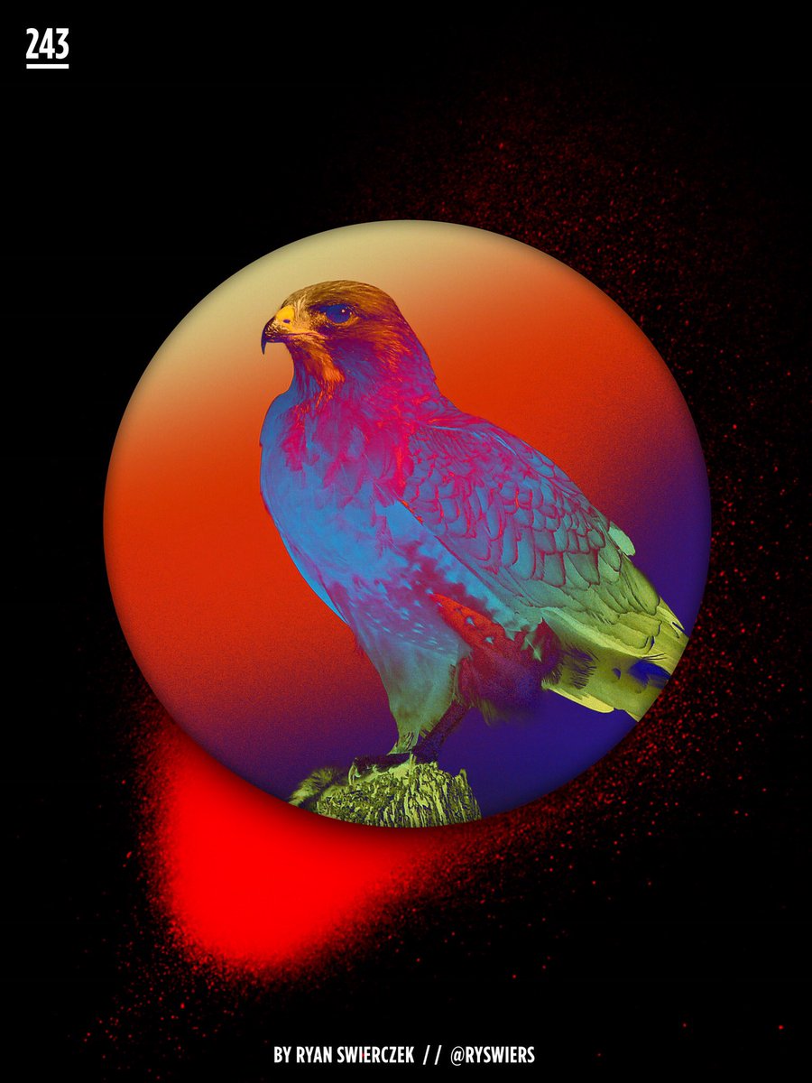 RySwiers's tweet photo. 243 -"Falconry” 🦅🦅🦅. . .
.
.
#poster #postereveryday #designeveryday #graphicdesign #graphic #inspirationseed  #digitalart #graphicgang #art #itsnicethat #simplycooldesign #design #gfxmob #adobe #photoshop #dailyart #contemporaryart #thedesigntip #ps_inmotion #glitchart https://t.co/LcMuytlENC
