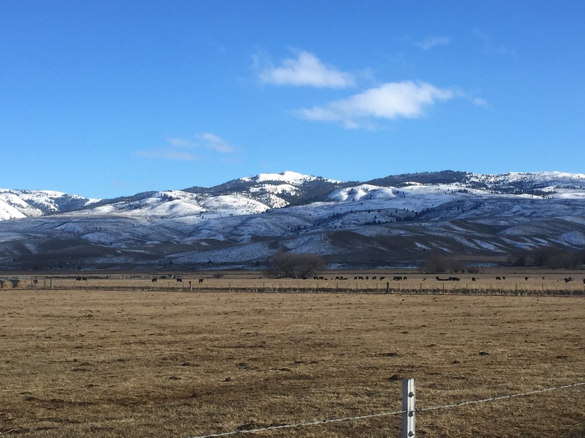 Andy Spinks tweet media