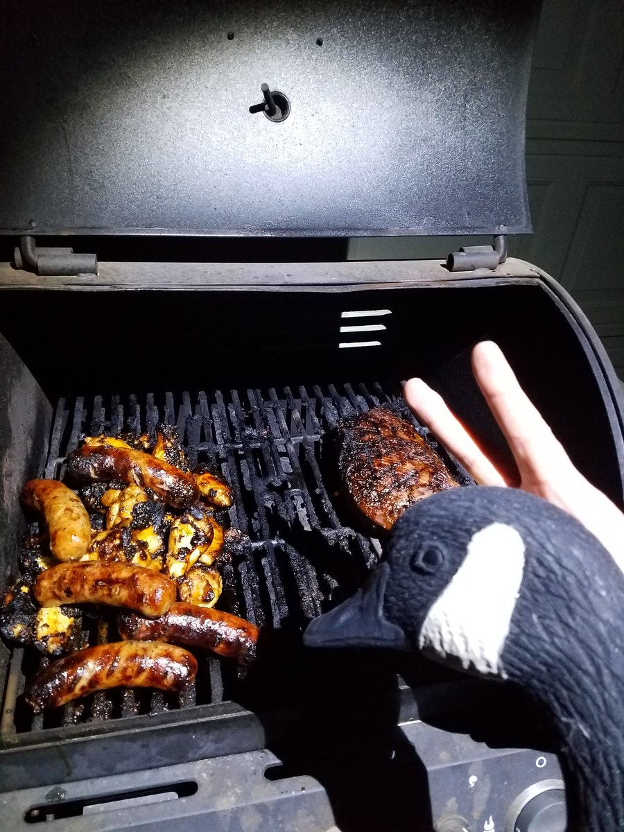 NugesGoose's tweet photo. #goodeatz #byrdisfortheboiz #wheresnugesgoose #eatinMEATyapoopeater https://t.co/cdj1gpIUX9
