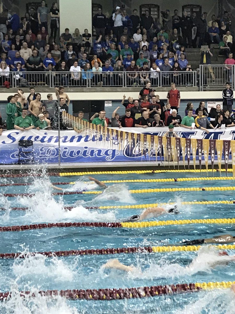 NorthActivities's tweet photo. MSHSL State Swim &amp; Dive: Jared B. 100 Freestyle 7th place! Go Polars! https://t.co/XIqgJyvM9F