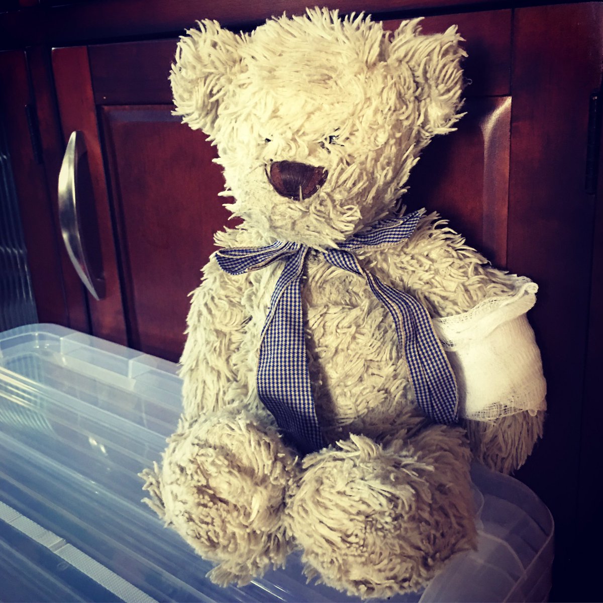 jozjozjoz's tweet photo. In a show of solidarity w/ his Boy, Bear also comes home from Urgent Care w/ a splint on his left arm. #badfall #fracturedwrist #toddlerlife https://t.co/8o15XEIpCY