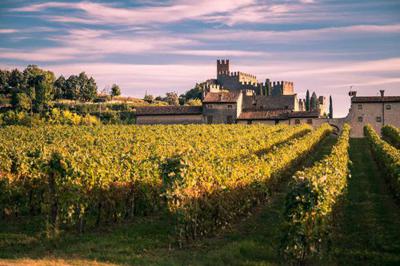 ARivett6's tweet photo. Do you consider yourself a wine connoisseur? Do your wine choices match this list from sommeliers across Canada? https://t.co/kAMiuWoTXp https://t.co/oSZeKJHauo