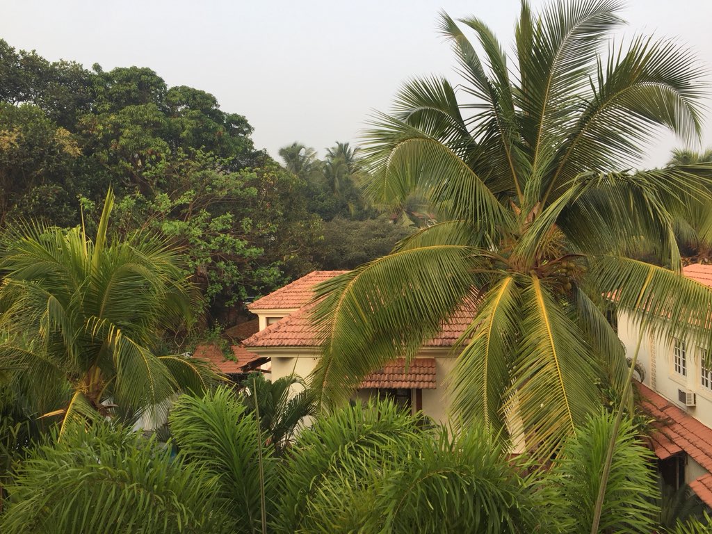 _SanjayGupta's tweet photo. #GoaMornings
The sun is yet to come out. All you can hear is the birds. It’s like Dolby Atmos. Different and distinct sounds coming from various directions. So beautiful. https://t.co/ciLo7J5UEd
