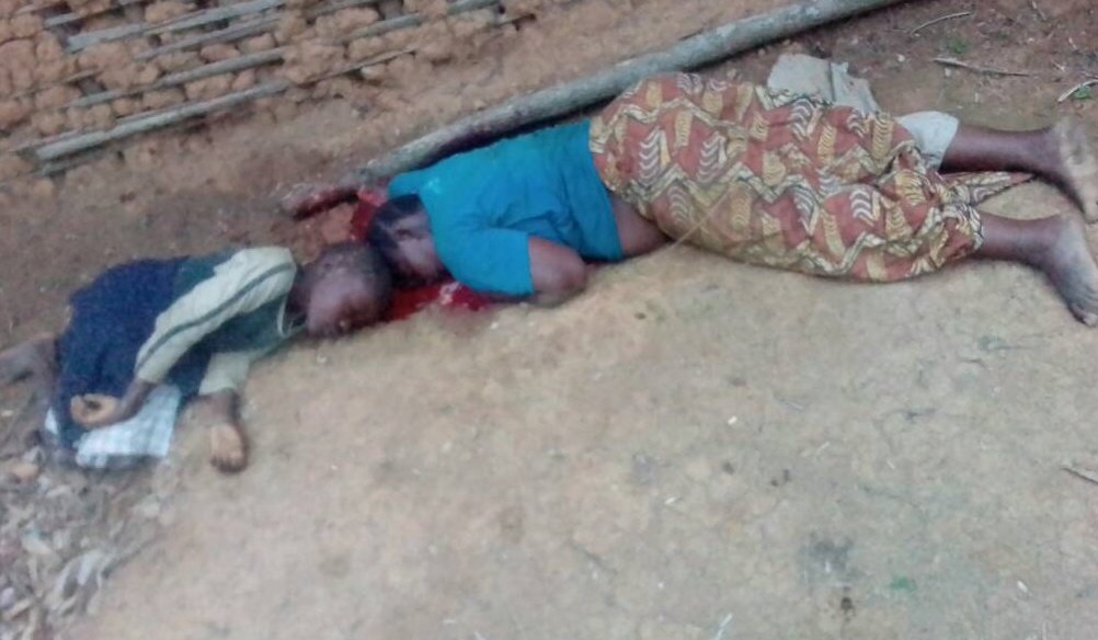 Nous déplorons 1e fois de plus la tuerie des civils à ERINGETI-Nord Kivu le samedi par les Adf. Interpellons la MONUC d'intervenir pour protéger la population civile