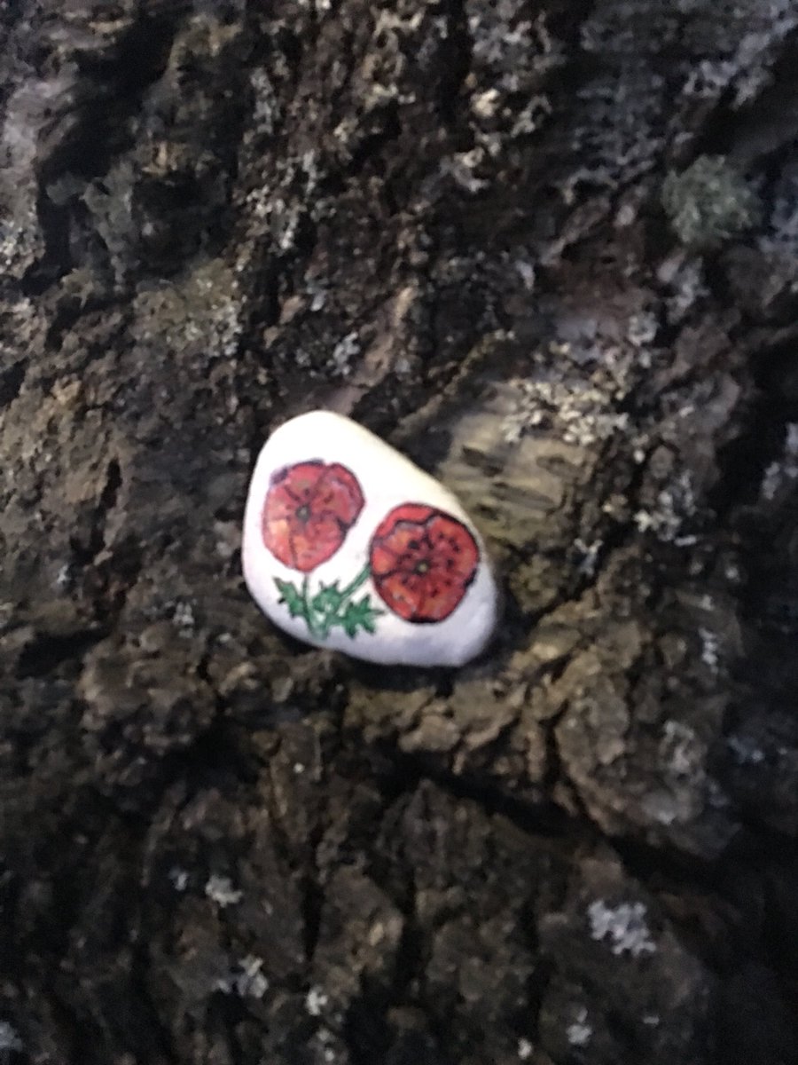 reecombs's tweet image. #TacomaRocks Made my day, left it for someone else that may walk that way!😉