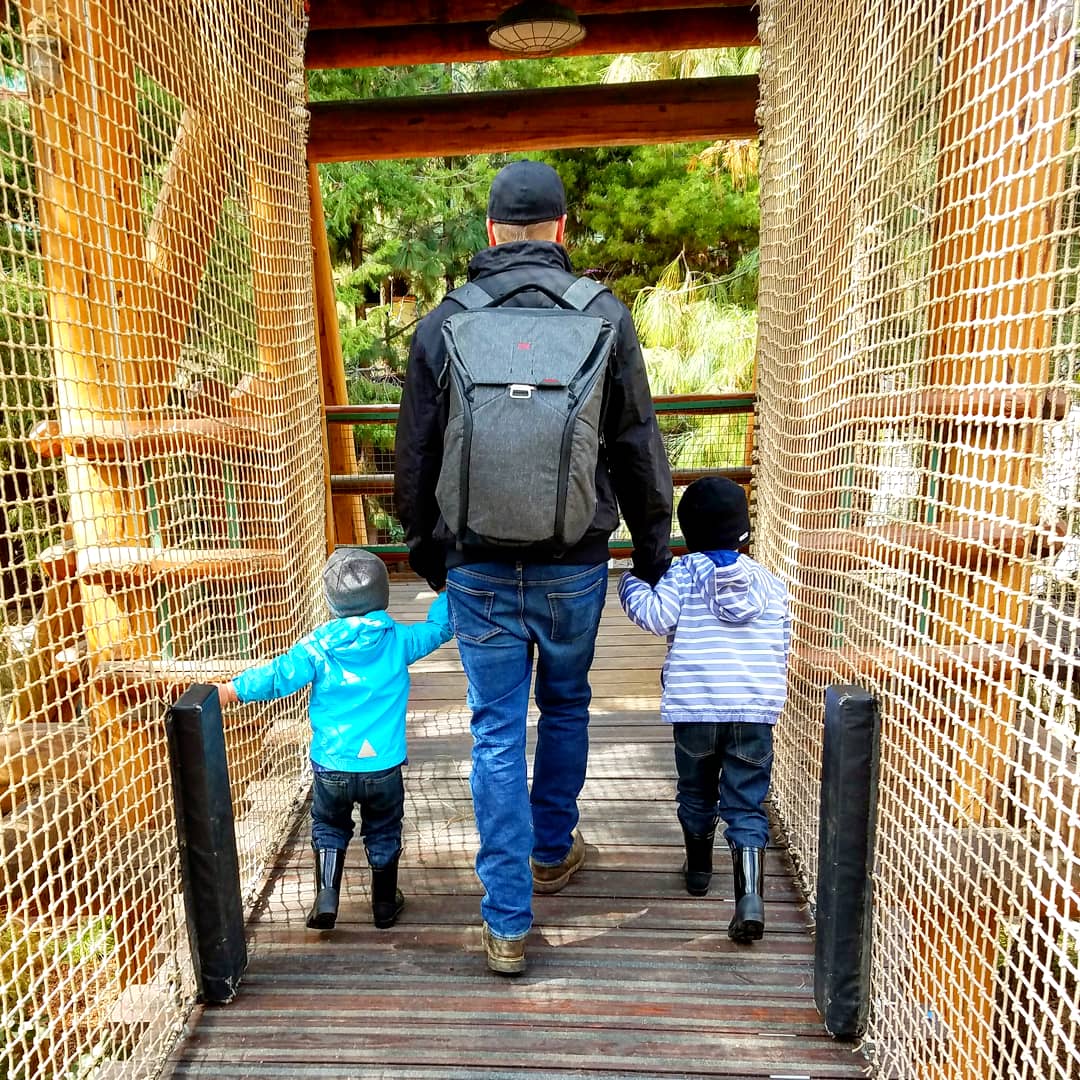 The #RedwoodCreekChallengeTrail finally opened back up today!!! 🌲

@DisneylandToday
#Disneyland #RedwoodCreekChallenge #RedwoodCreek #RedwoodCreekTrail #GrizzlyPeak #GrizzlyPeakRecreationArea #Explore #NeverStopExploring #LetThemExplore #GetOutside #OptOutdoors #Wilderness #DCA