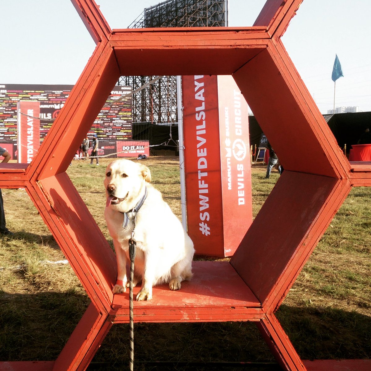 earthlingfirst's tweet photo. Our mascot Joey chilling @devilscircuit and having fun with participants from Mohali and Chandigarh.
#devilscircuitmohali #wastemanagementpartner #dogfriendlyspaces https://t.co/3EgjO4hXmz