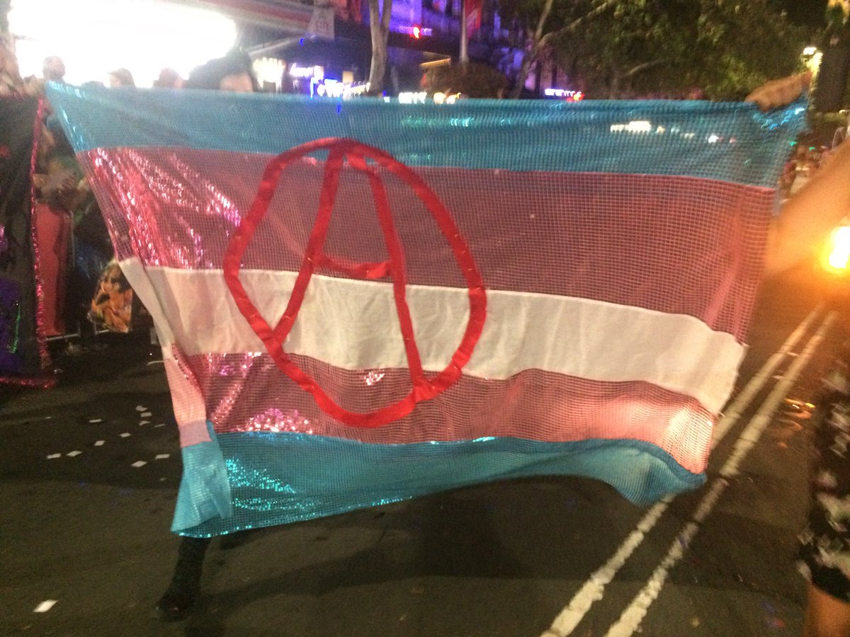 AnarchistPink's tweet photo. #40YearsOfStruggle #MardiGras40 #PinkBloc #mardigras2018 https://t.co/8uxWZpiIjM