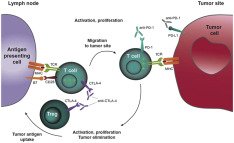 Richard Weisel (@rweisel12) on Twitter photo In April JTCVS Rusch et al discuss Keynote-024: Unlocking a pathway to lung cancer cure? bit.ly/2FmtXqPJTCVS <a href="/tssmn/">CTSurgSocMedNetwork</a> <a href="/maraantonoff/">Mara Antonoff, MD, FACS</a> <a href="/TomVargheseJr/">Tom Varghese Jr. MD, MS, MBA, FACS, MAMSE 🇺🇸</a> @DavidCookeMD <a href="/biniamkidaneMD/">Biniam Kidane</a> In April JTCVS Rusch et al discuss Keynote-024: Unlocking a pathway to lung cancer cure? bit.ly/2FmtXqPJTCVS <a href="/tssmn/">CTSurgSocMedNetwork</a> <a href="/maraantonoff/">Mara Antonoff, MD, FACS</a> <a href="/TomVargheseJr/">Tom Varghese Jr. MD, MS, MBA, FACS, MAMSE 🇺🇸</a> @DavidCookeMD <a href="/biniamkidaneMD/">Biniam Kidane</a>