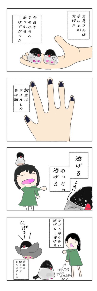 文鳥漫画 Hashtag On Twitter
