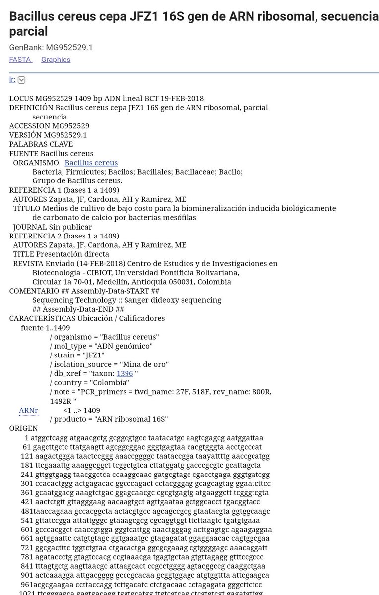 BioHackingCol's tweet image. avanzamos en nuestro proyecto de secuestro de CO2 con bacterias, buscamos alternativas de bajo costo para este tipo de investigaciones. #Biotecnologia #Biotechnology #freescience