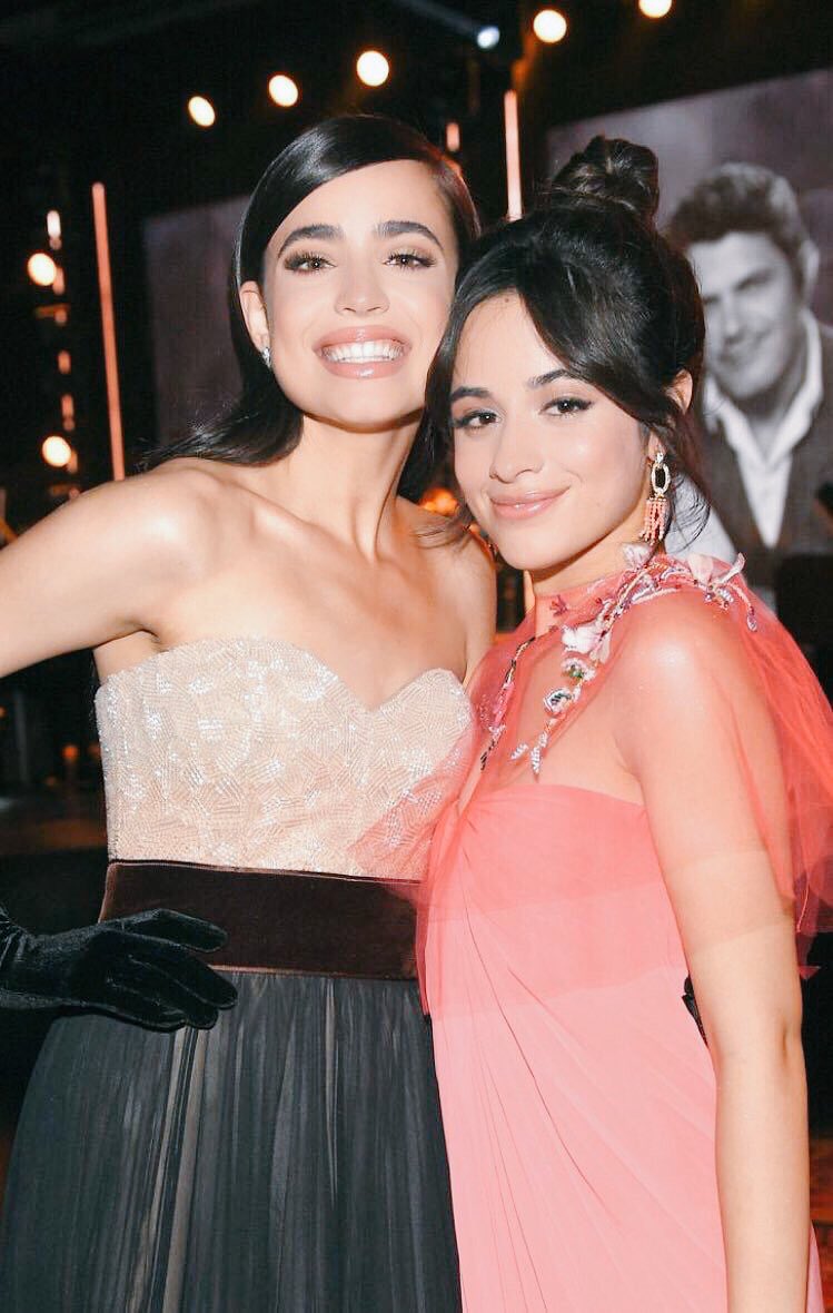 Sofia Carson tweet media