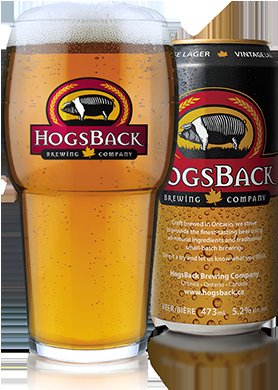 QandBrew's tweet photo. Q+Brew is extremely happy and proud to have @HogsBackBrewing back as a sponsor this season. If you've never had the crisp, refreshing taste of their Vintage Lager you need to do yourself a favour and grab a few from your local Beer Store, LCBO or even select grocery stores! https://t.co/LXBWeAPPmy
