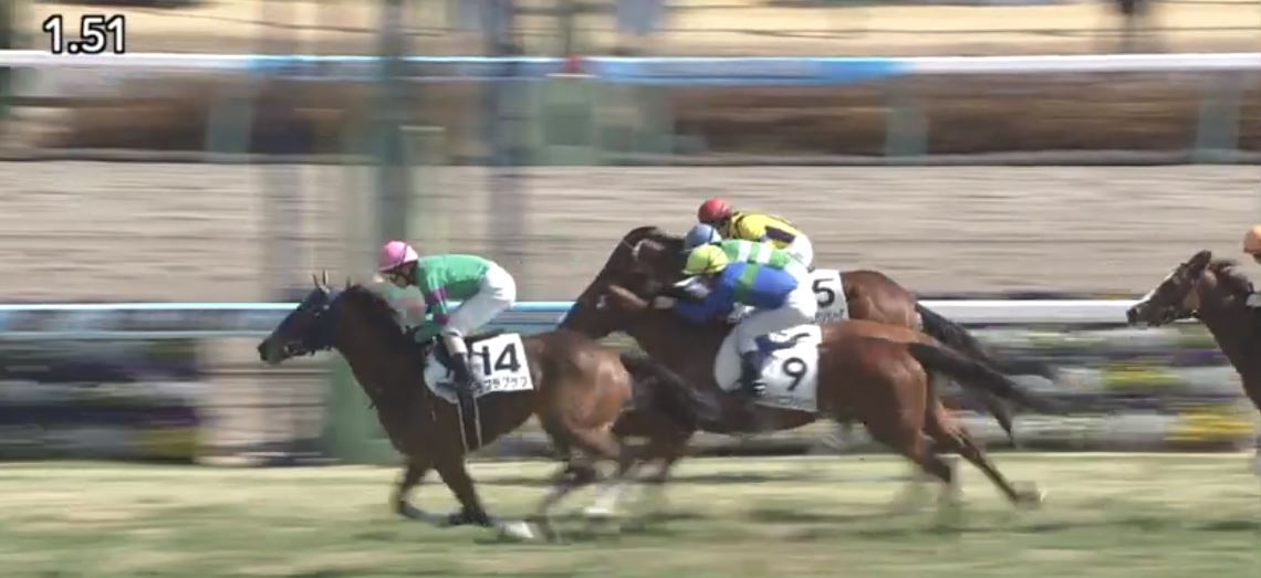 LongBallToNoOne's tweet photo. Dad would be proud.
Jockey M.Matsuoka struggled to keep her under control but a very green
3yo filly LOVE LOVE LOVE (Orfevre x Queen's Prayer (Tokai Teio)) still managed to win over 1800m at her second start. A filly with potential (if she goes straight) #mad #chipoffblock https://t.co/tEadaWf5U2