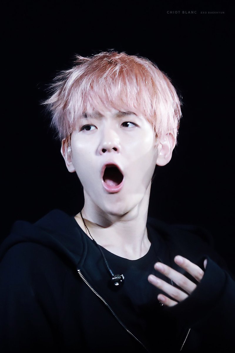 CHIOT BLANC 시오블랑 tweet media