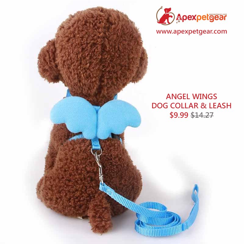 apexpetgear's tweet photo. The cutest Dog Collar & Leash Set with a pair of angel wings that makes your dog looks even more #adorable
#Shoponline : https://t.co/cDFVDD54XA
#petsCollar #dogleash #dogcollars #pets #dogs #adorablepuppy https://t.co/MFJ1e2ZtXb