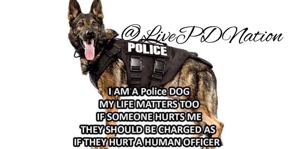 Any suspects who hurts a K9 Officer should be punished to the highest level!!! RT if you agree 🐾💙 #bluepawsmatter 🐾 #LivePD #LivePDNation #livepdwatchparty