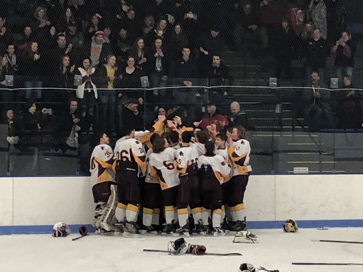 DavisonMade's tweet photo. The Davison  Hockey team caps off the amazing Cardinal wknd with a Regional Championship beating Port Huron Northern 3-1! #DavisonMadePride https://t.co/jXKzIs4YF7