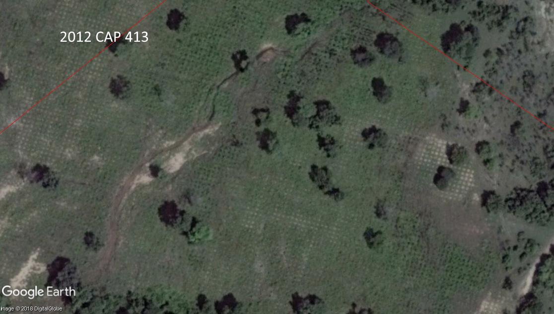 ForestRightsAct's tweet photo. #CAFscam  #Telangana FD: How to destroy natural forests to  plant eucalyptus as compensation for destruction on natural forests: Bayyaram Range, plantation number CAP-413, e-greenwatch @Kum_Sambhav  @Geetanjoy @Jairam_Ramesh @NITIAayog @toi_jayashreeN @gfc123 @down2earthindia https://t.co/wYU7YOWWje