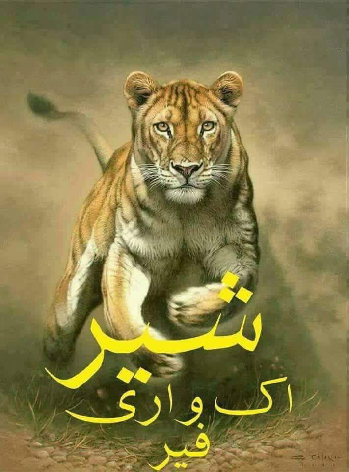 DAniiii151's tweet photo. @CMShehbaz  https://t.co/doOToVpJom