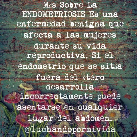 Mividaconendometriosis tweet media