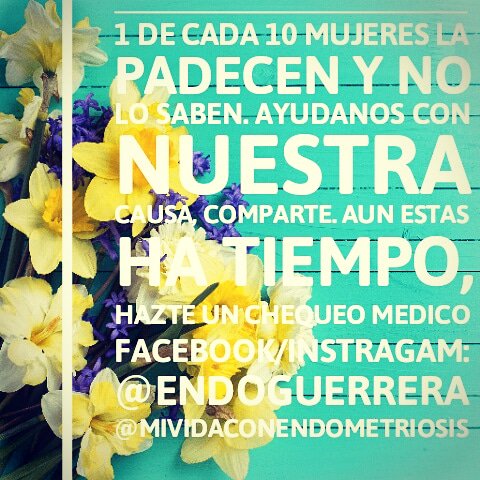 Mividaconendometriosis tweet media