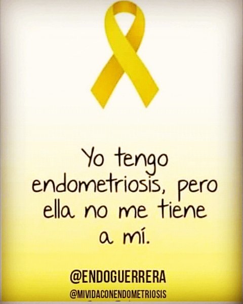 Mividaconendometriosis tweet media