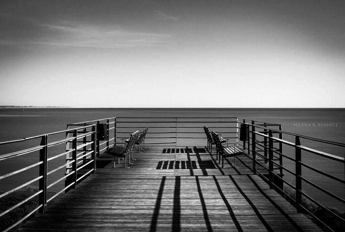 Nicky Beeeee 🐝🐝🐝 tweet media