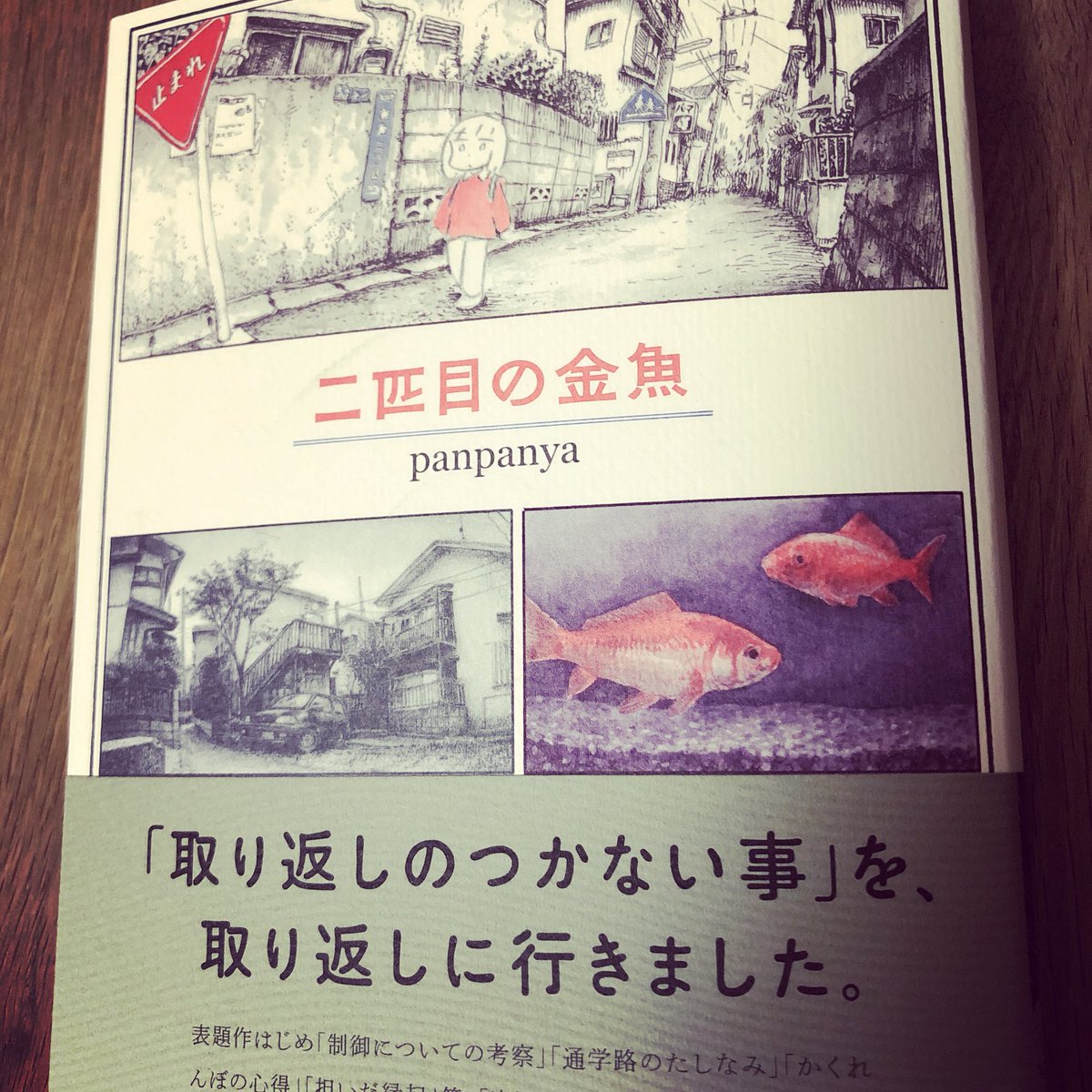 二匹目の金魚 二匹目の金魚