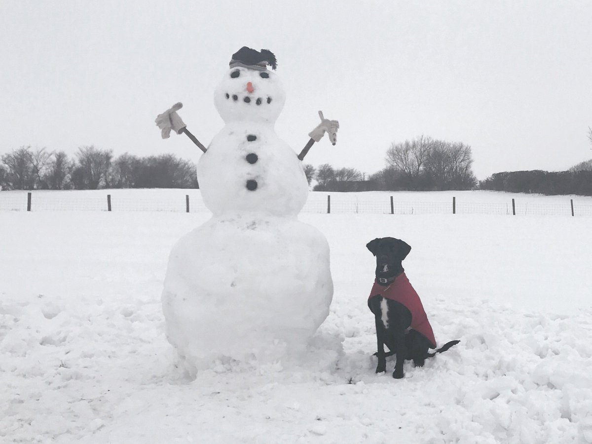 Tim & Véronique tweet media