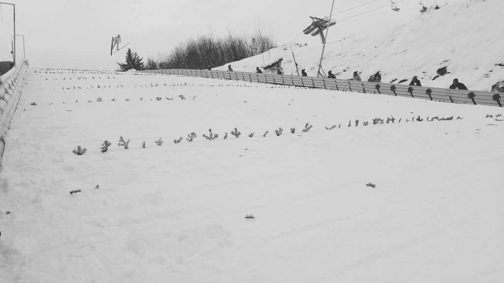 telemarcu's tweet photo. Maren Lundby domină a doua etapă de la Râșnov, stabilește noul record al trambulinei! - https://t.co/yhYXGPhI5f https://t.co/hib2iFJ7ae