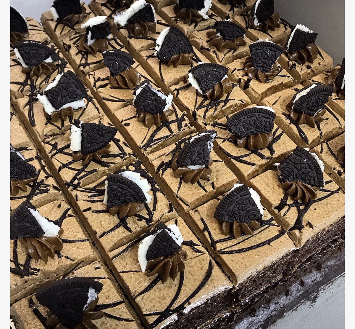 Nectar_treats's tweet photo. We supply yum party treats😍
DM or WhatsApp 08080880803 for enquiries
#yumpartyyreats #celebrationtreats #dessertforparties #eventslagos https://t.co/4iJMX92MJD