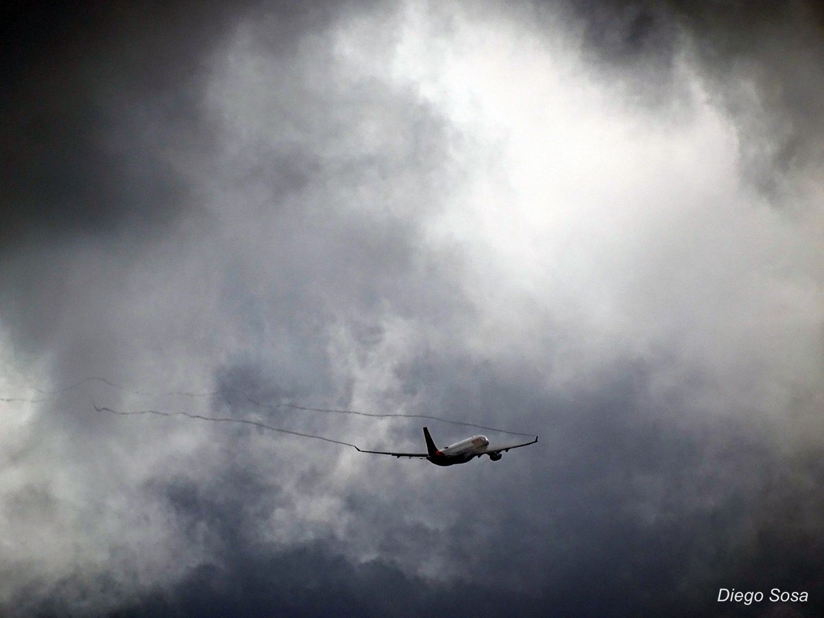 DIEGO SOSA tweet media