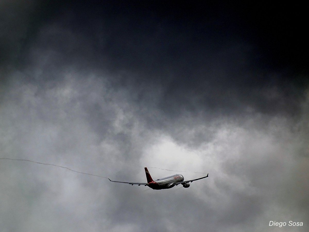 DIEGO SOSA tweet media