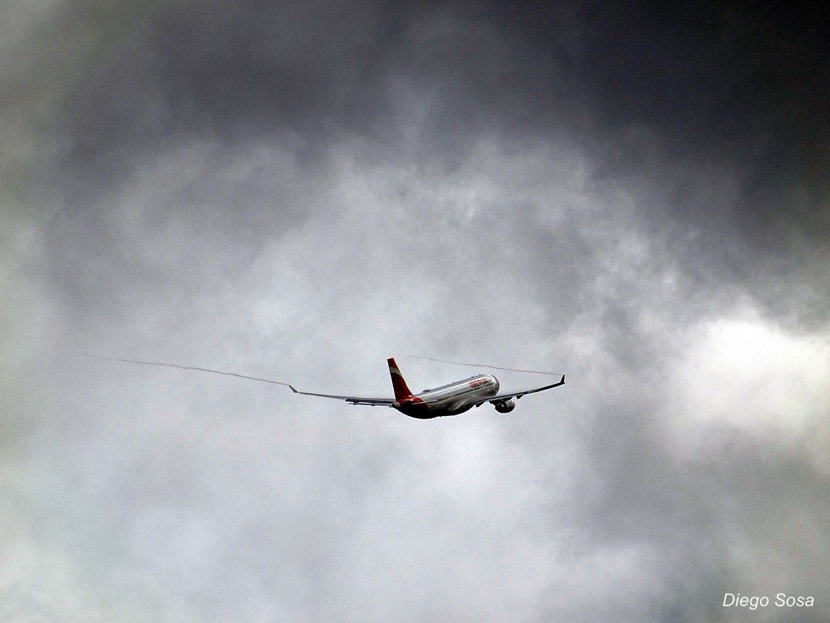 DIEGO SOSA tweet media