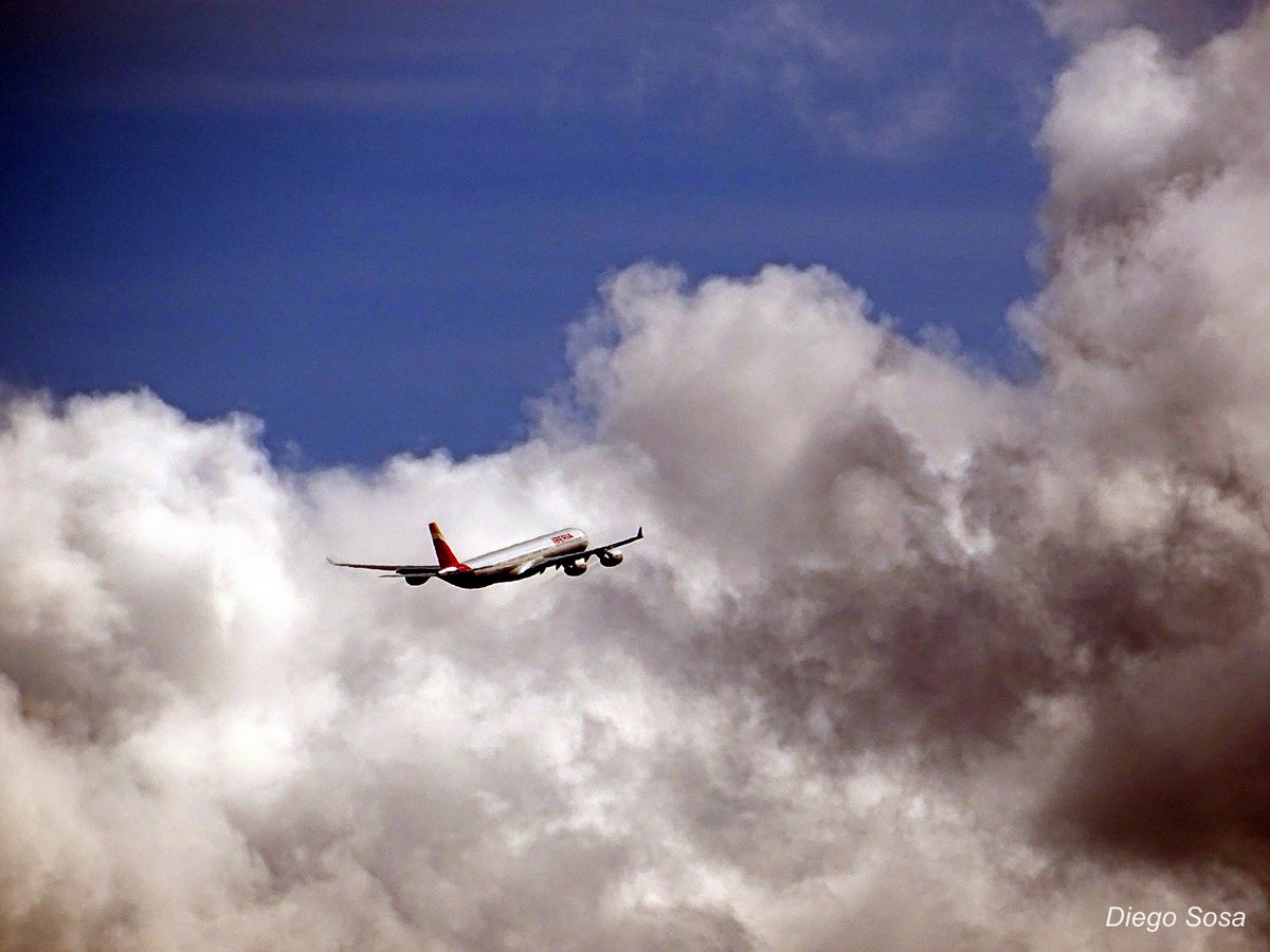 DIEGO SOSA tweet media