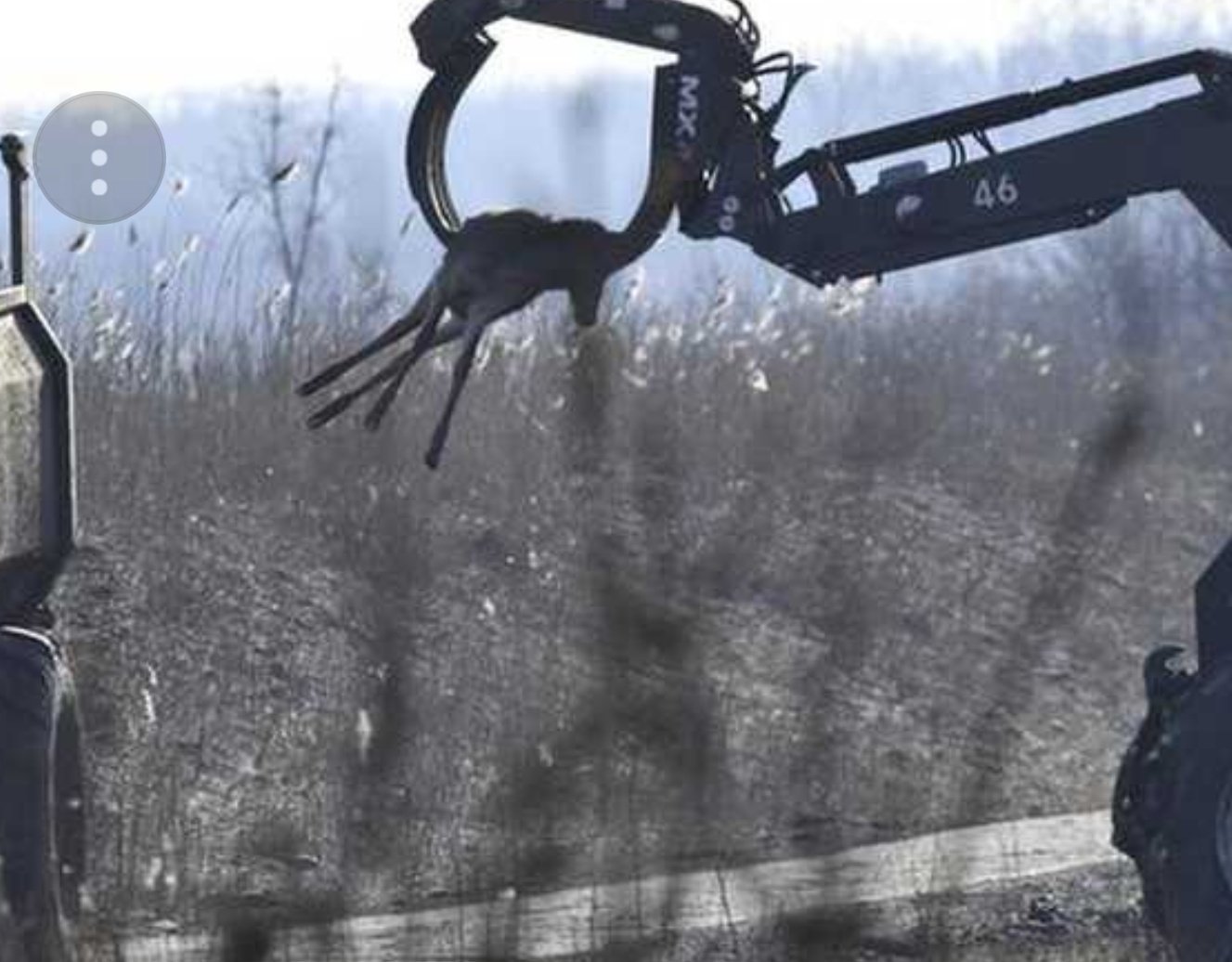 Censuur In De Landen 1 Angel-Wings.nl DXb4RBsW0AE9PAA AnGel-WinGs.nl