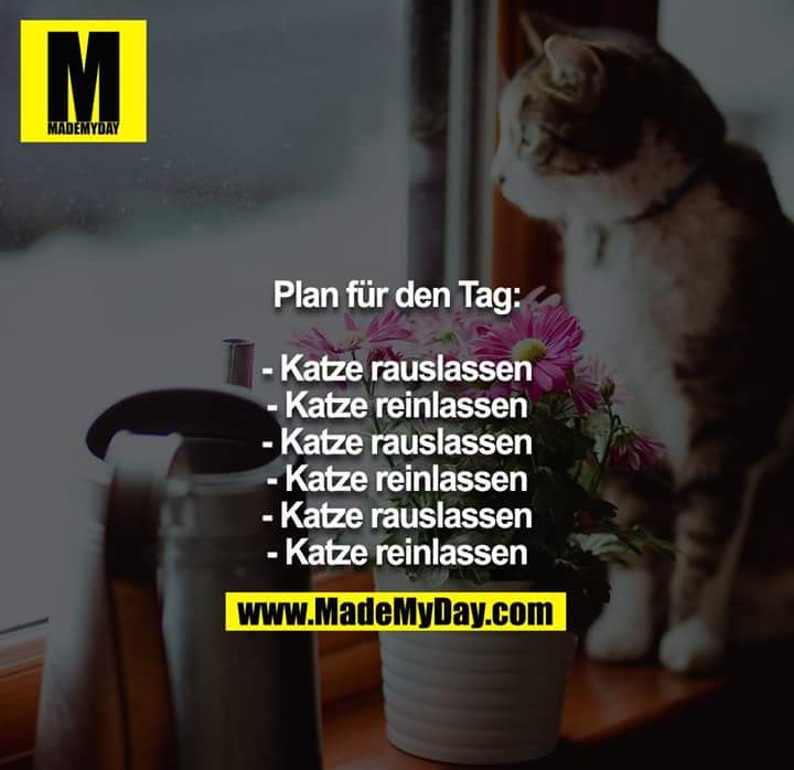 German_MCB's tweet photo. rauslassen -to let out
reinlassen - to let in 🐱 https://t.co/cDkHkUq4Sa