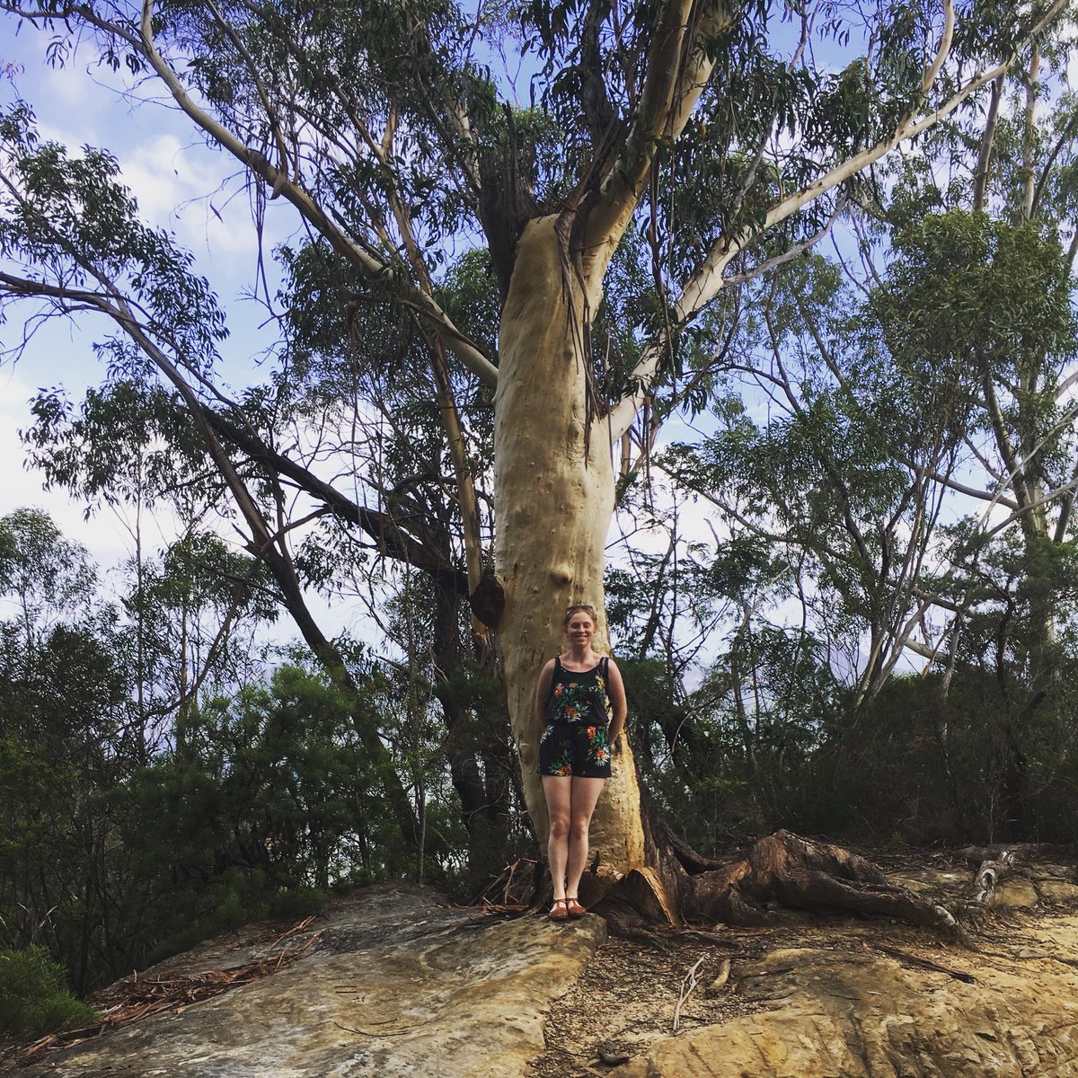 Teatania's tweet photo. 'Take a photo of me here by this big tree will you?'
.
👌
.
.
#bluemountains #bigtree #actingthetourist #alltheboats #atealivesoIwas #prettythough https://t.co/ihyJbGgzrf