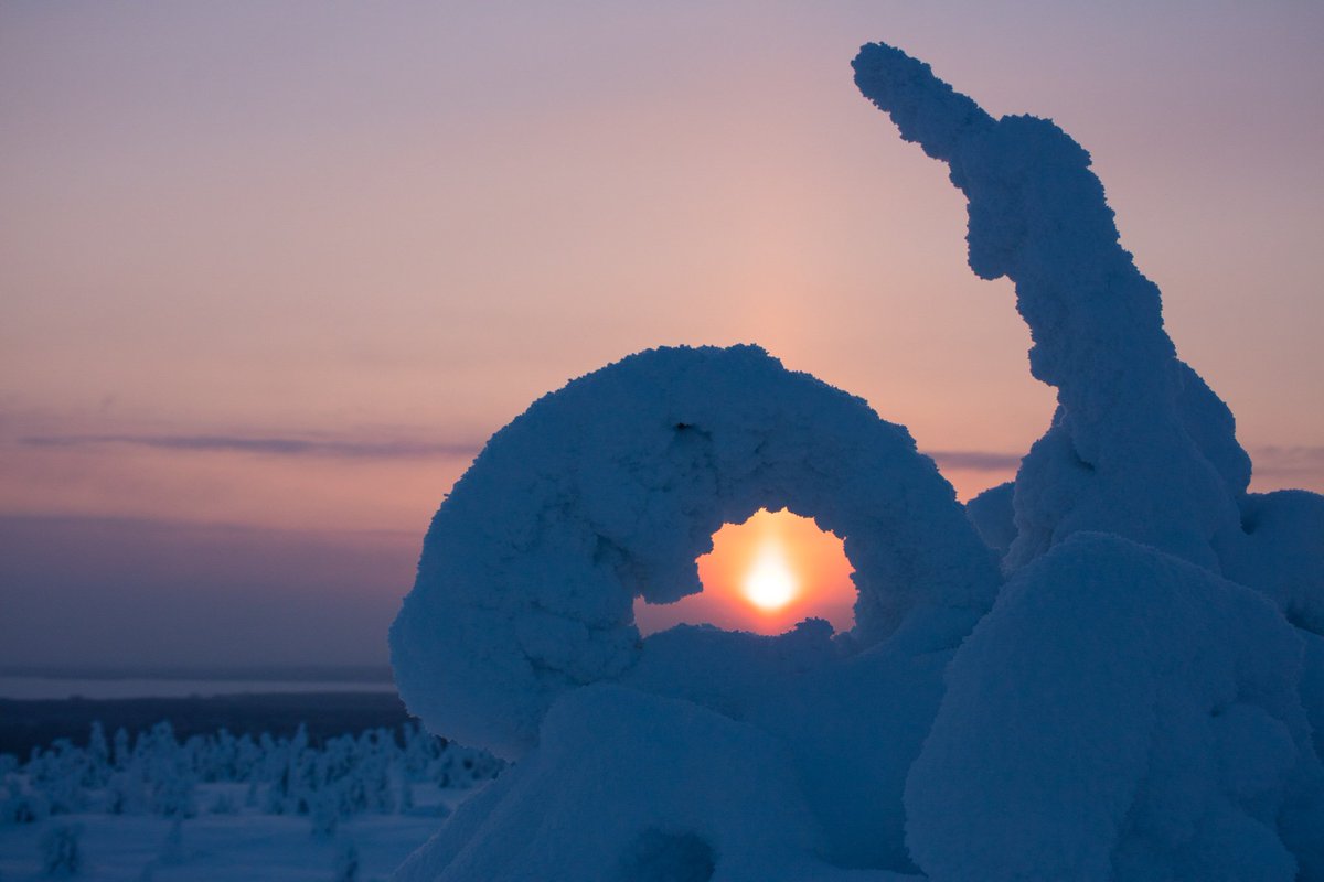 横田 裕市 写真家 絶景の太陽柱 サンピラー 大雪原と樹氷の広がるフィンランド リーシトゥントゥリ国立公園 大気中の氷の結晶に 太陽の光が反射して光が縦に伸びる珍しい自然現象 本当におすすめの絶景公園 またここでスノーシューイングがしたい