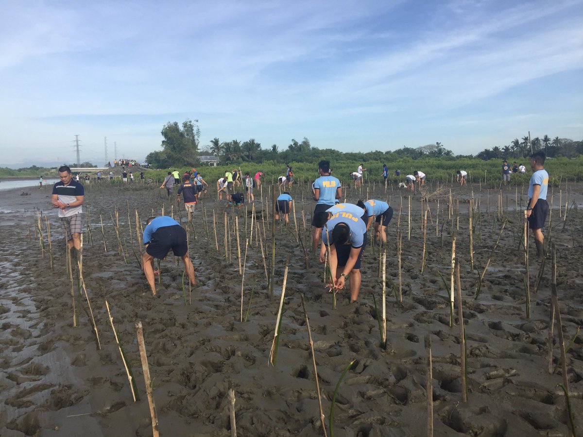 PscRpsb6's tweet photo. Mangrove Planting Activity at Brgy. Bito-on, Jaro, Iloilo City.
#602ndCompany #RMFB6 

@pnp_rmfb6 https://t.co/MjXiY2Gg9e