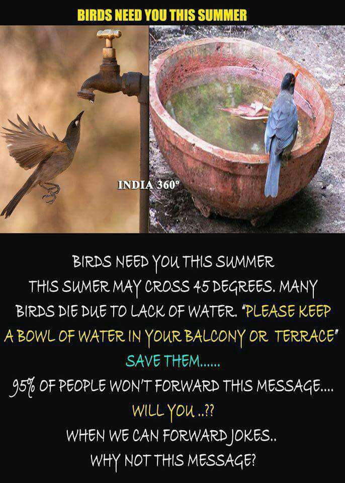 BishanBedi's tweet photo. https://t.co/v15X0DtNy0